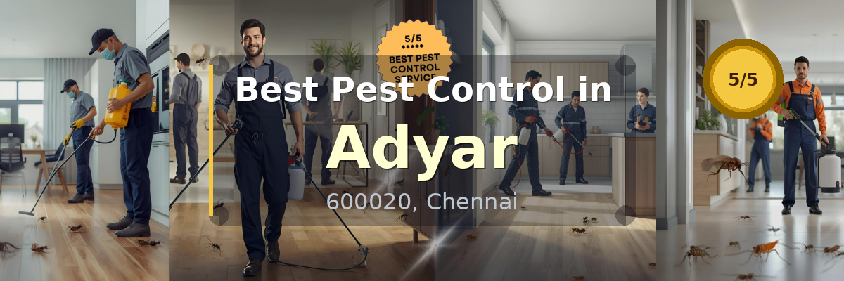 Pest Control in Adyar Chennai - Vijay Pest Control