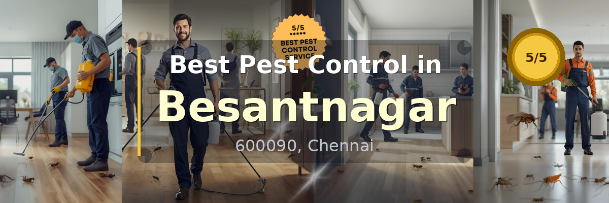Pest Control in Besantnagar Chennai - Vijay Pest Control