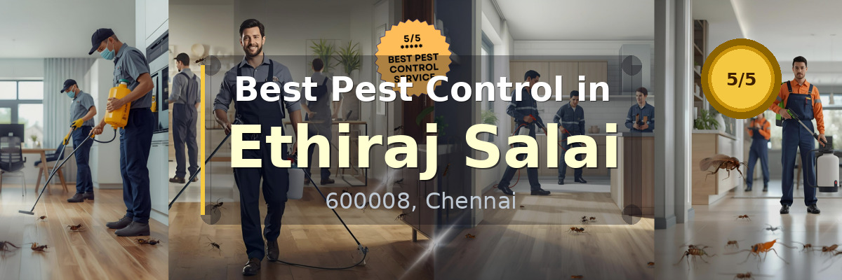 Pest Control in Ethiraj Salai Chennai - Vijay Pest Control