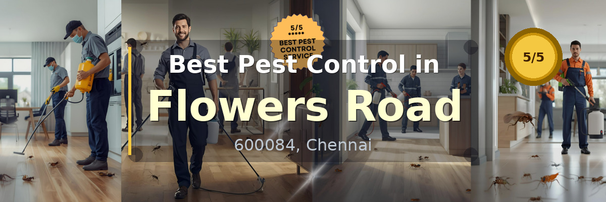 Pest Control in Flowers Road Chennai - Vijay Pest Control
