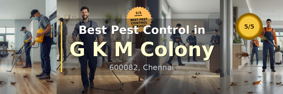 Pest Control in G K M Colony Chennai - Vijay Pest Control