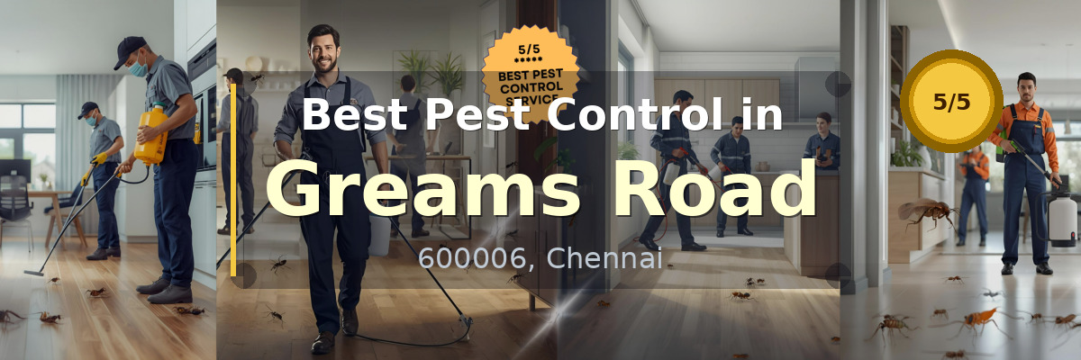 Pest Control in Greams Road Chennai - Vijay Pest Control