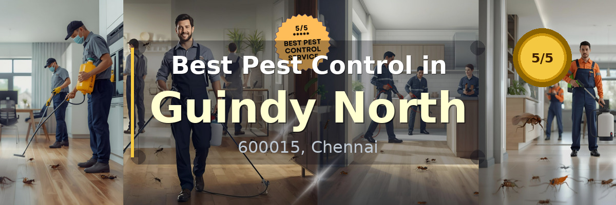 Pest Control in Guindy North Chennai - Vijay Pest Control