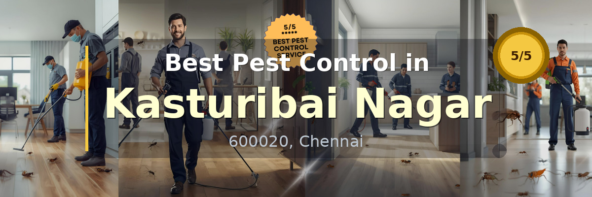 Pest Control in Kasturibai Nagar Chennai - Vijay Pest Control