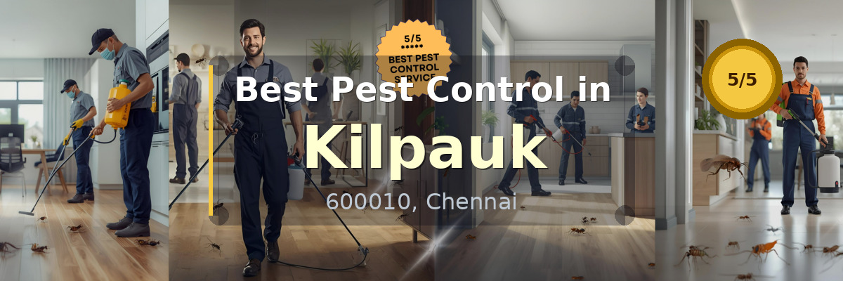Pest Control in Kilpauk Chennai - Vijay Pest Control