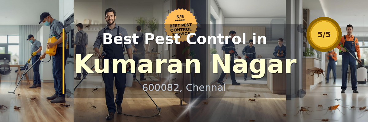 Pest Control in Kumaran Nagar Chennai - Vijay Pest Control