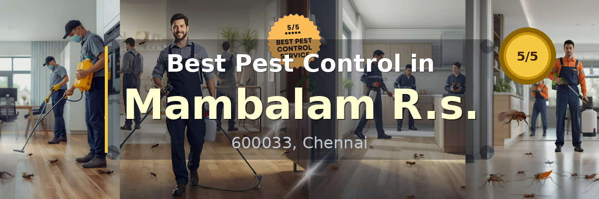 Pest Control in Mambalam R.s. Chennai - Vijay Pest Control