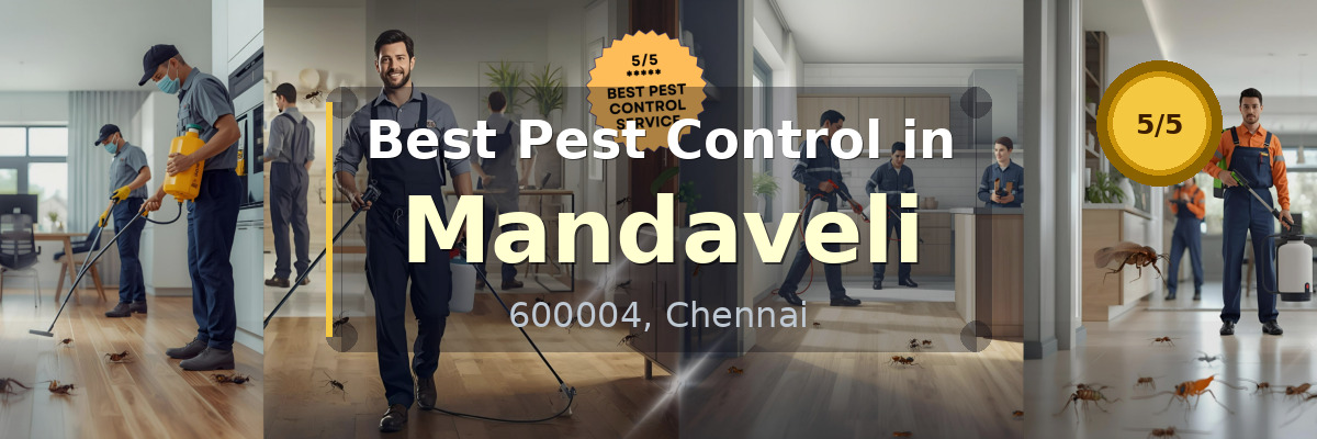 Pest Control in Mandaveli Chennai - Vijay Pest Control