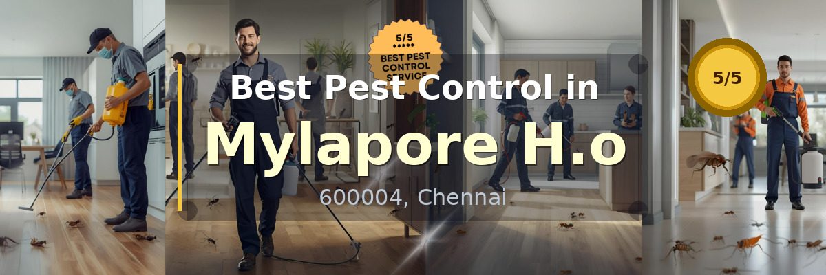 Pest Control in Mylapore H.o Chennai - Vijay Pest Control