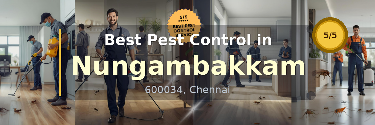 Pest Control in Nungambakkam Chennai - Vijay Pest Control
