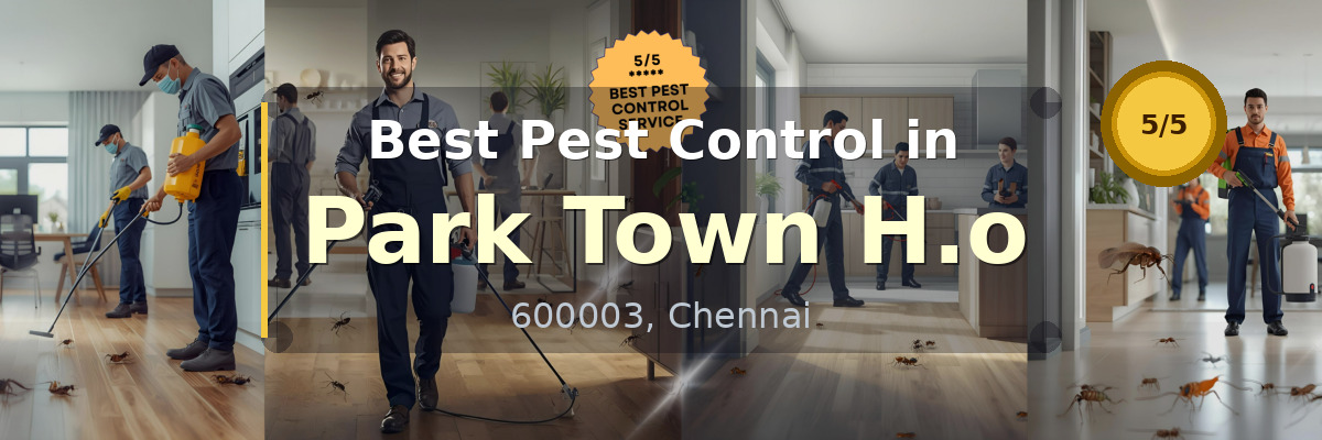 Pest Control in Park Town H.o Chennai - Vijay Pest Control