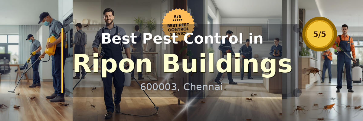 Pest Control in Ripon Buildings Chennai - Vijay Pest Control