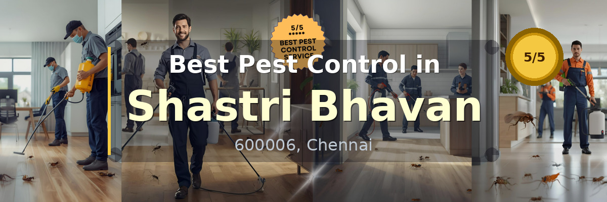 Pest Control in Shastri Bhavan Chennai - Vijay Pest Control