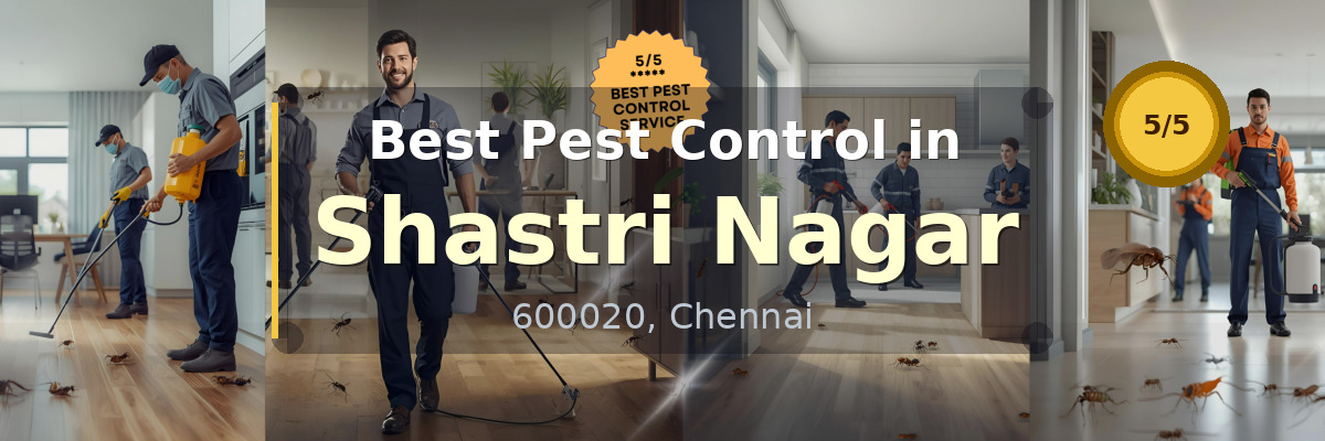 Pest Control in Shastri Nagar Chennai - Vijay Pest Control