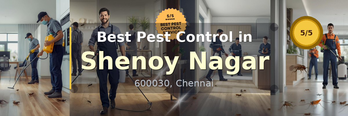 Pest Control in Shenoy Nagar Chennai - Vijay Pest Control