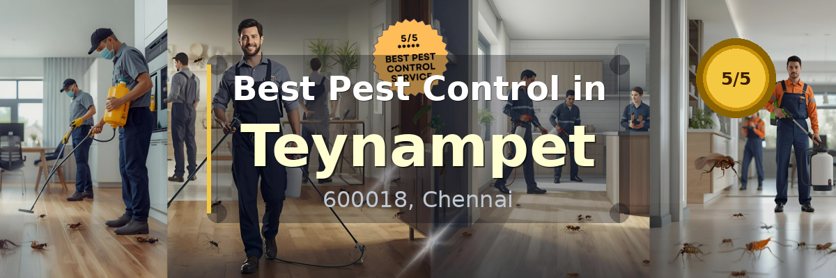 Pest Control in Teynampet Chennai - Vijay Pest Control