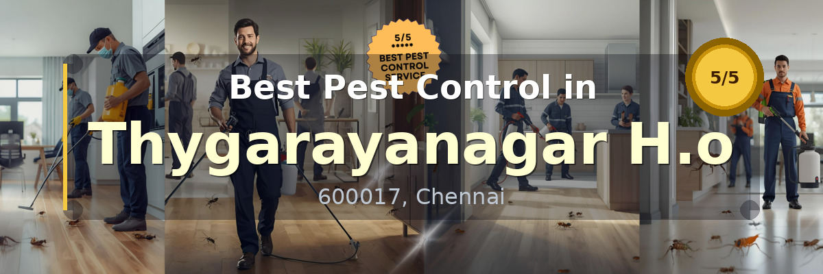 Pest Control in Thygarayanagar H.o Chennai - Vijay Pest Control