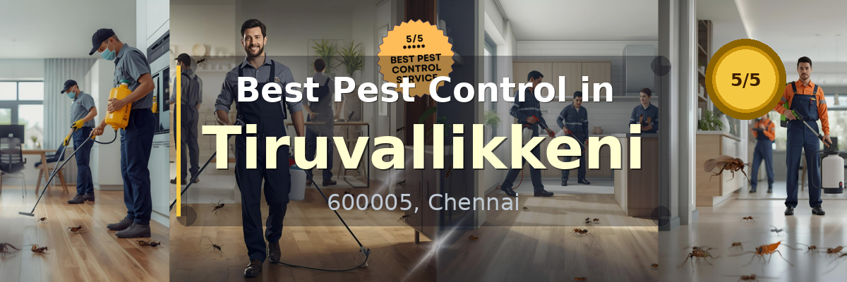 Pest Control in Tiruvallikkeni Chennai - Vijay Pest Control