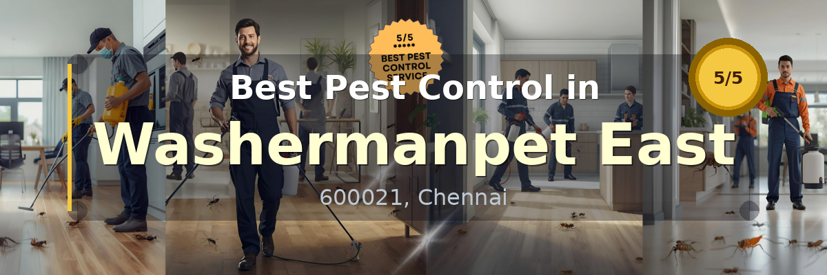 Pest Control in Washermanpet East Chennai - Vijay Pest Control