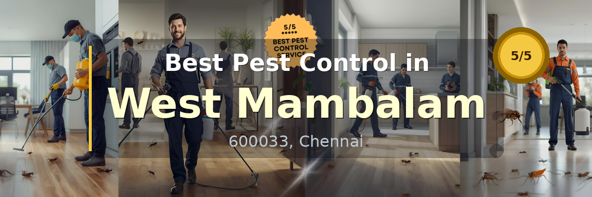 Pest Control in West Mambalam Chennai - Vijay Pest Control