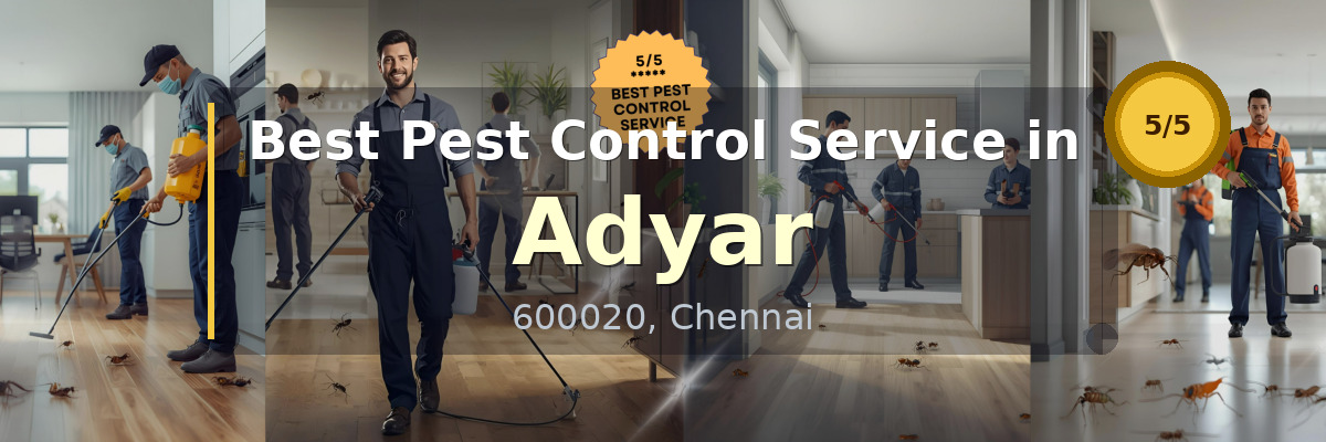 Pest Control Service in Adyar Chennai - Vijay Pest Control