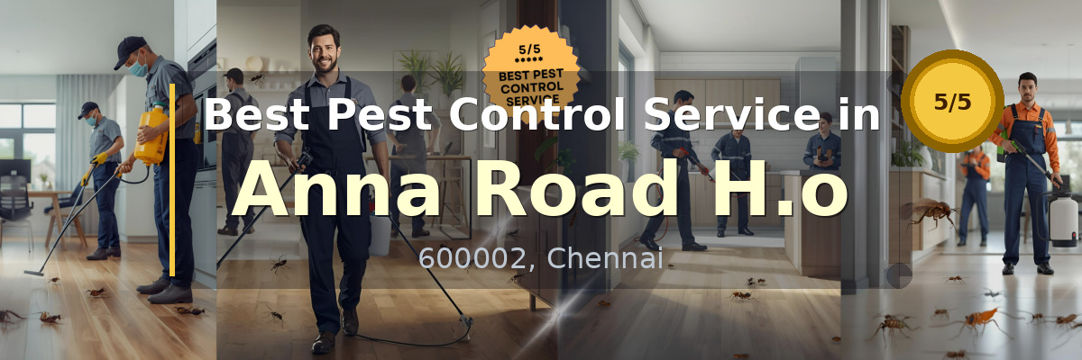 Pest Control Service in Anna Road H.o Chennai - Vijay Pest Control