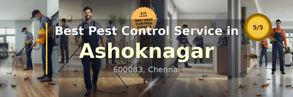 Pest Control Service in Ashoknagar Chennai - Vijay Pest Control