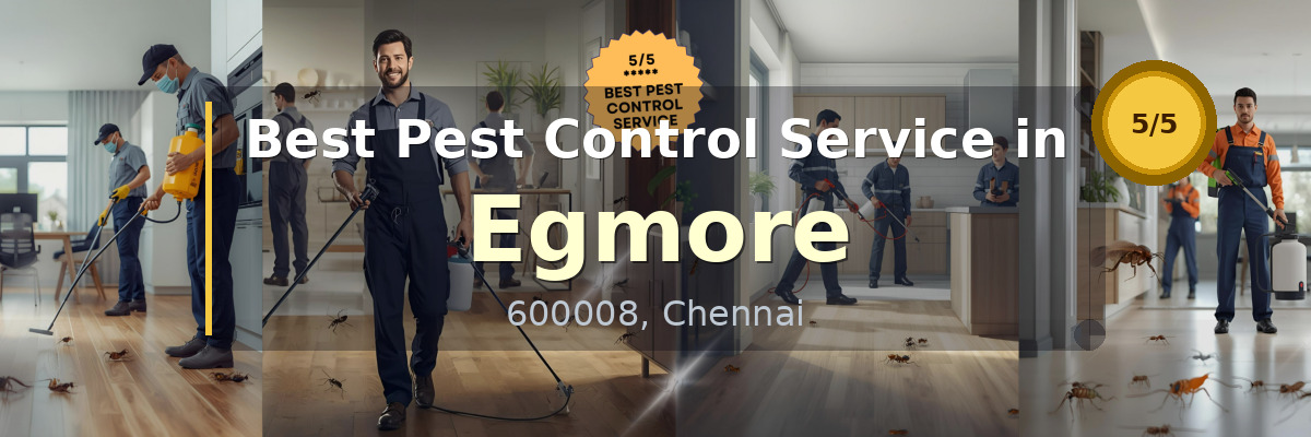 Pest Control Service in Egmore Chennai - Vijay Pest Control