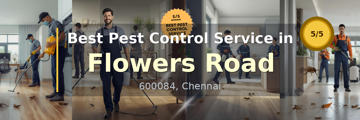 Pest Control Service in Flowers Road Chennai - Vijay Pest Control
