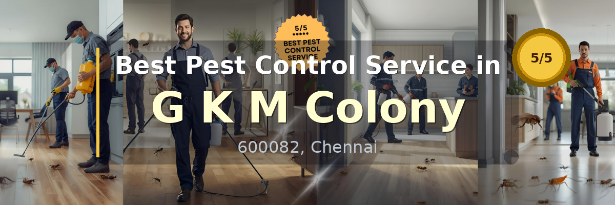 Pest Control Service in G K M Colony Chennai - Vijay Pest Control