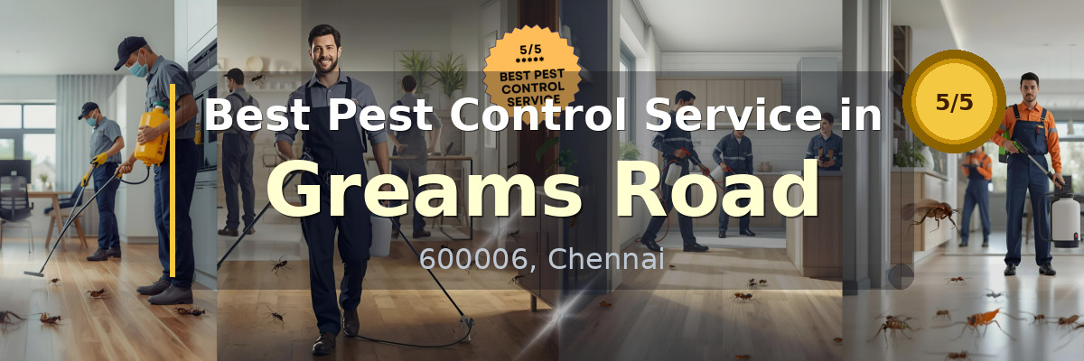 Pest Control Service in Greams Road Chennai - Vijay Pest Control
