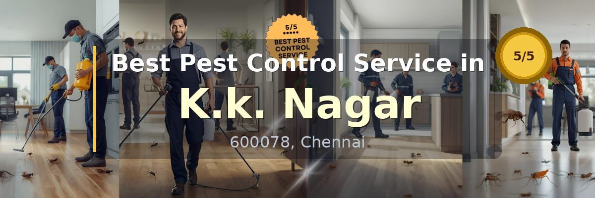 Pest Control Service in K.k. Nagar Chennai - Vijay Pest Control