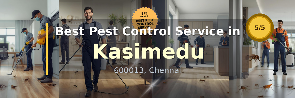 Pest Control Service in Kasimedu Chennai - Vijay Pest Control