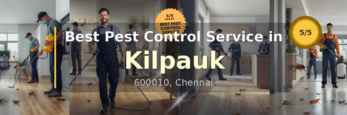 Pest Control Service in Kilpauk Chennai - Vijay Pest Control
