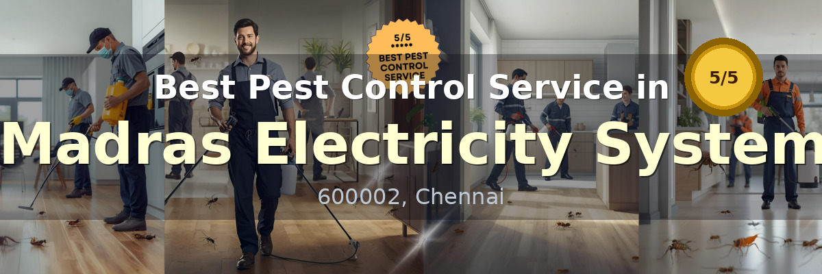 Pest Control Service in Madras Electricity System Chennai - Vijay Pest Control