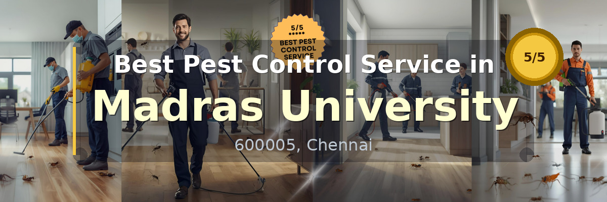 Pest Control Service in Madras University Chennai - Vijay Pest Control