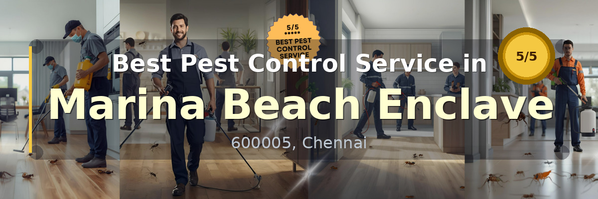 Pest Control Service in Marina Beach Enclave Chennai - Vijay Pest Control