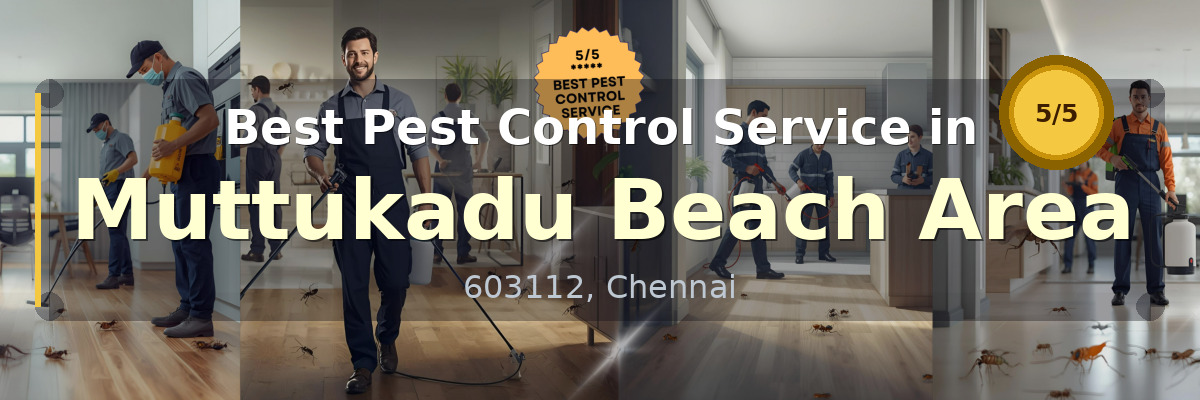 Pest Control Service in Muttukadu Beach Area Chennai - Vijay Pest Control