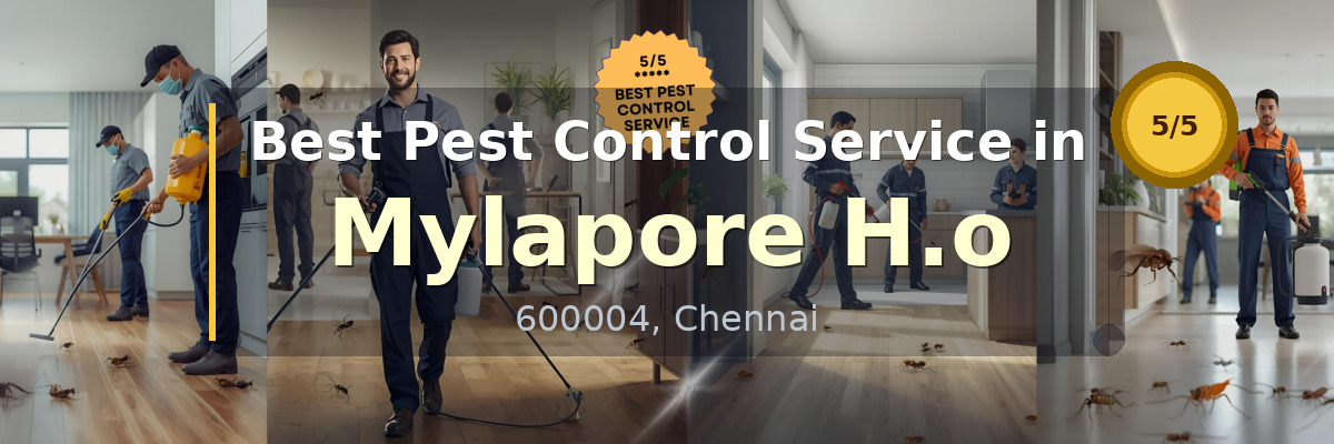 Pest Control Service in Mylapore H.o Chennai - Vijay Pest Control