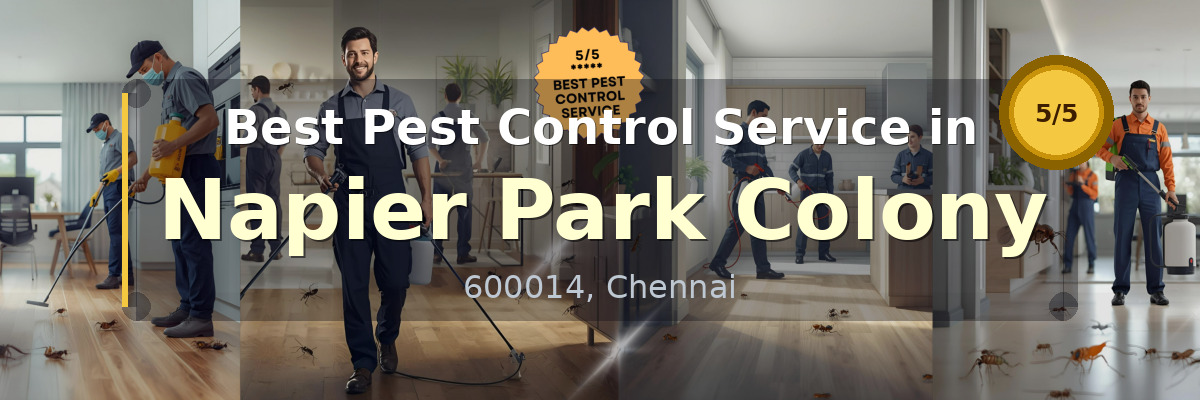 Pest Control Service in Napier Park Colony Chennai - Vijay Pest Control