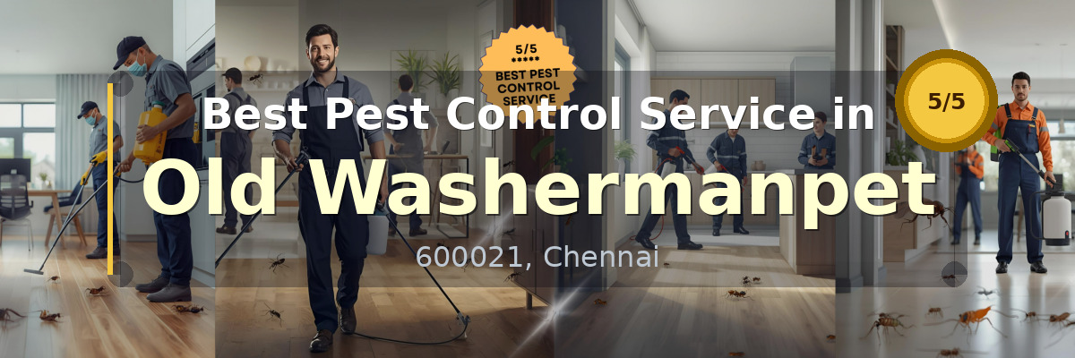 Pest Control Service in Old Washermanpet Chennai - Vijay Pest Control