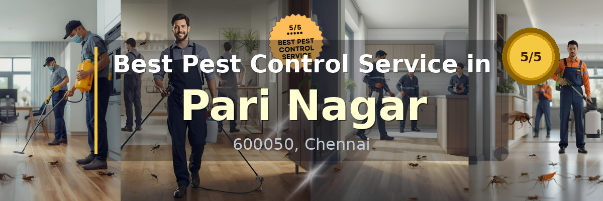 Pest Control Service in Pari Nagar Chennai - Vijay Pest Control