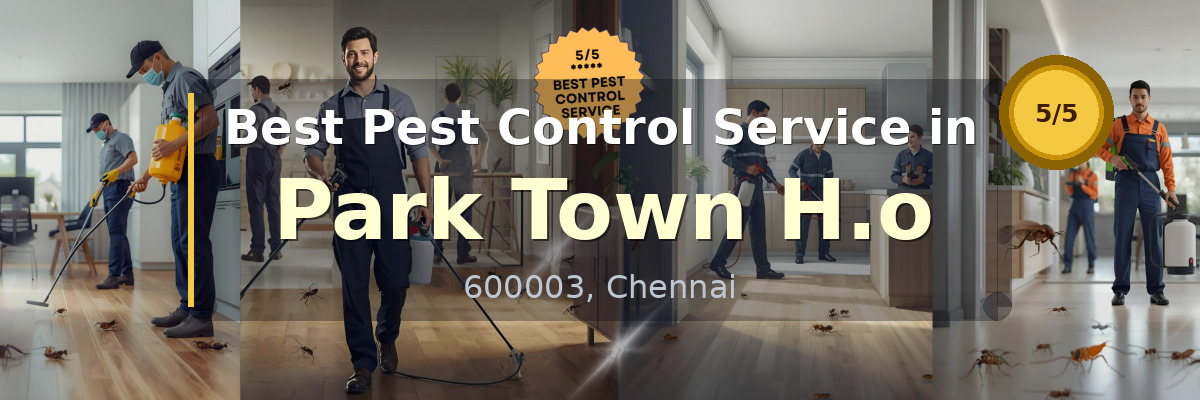 Pest Control Service in Park Town H.o Chennai - Vijay Pest Control