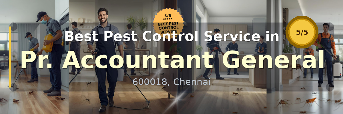 Pest Control Service in Pr. Accountant General Chennai - Vijay Pest Control
