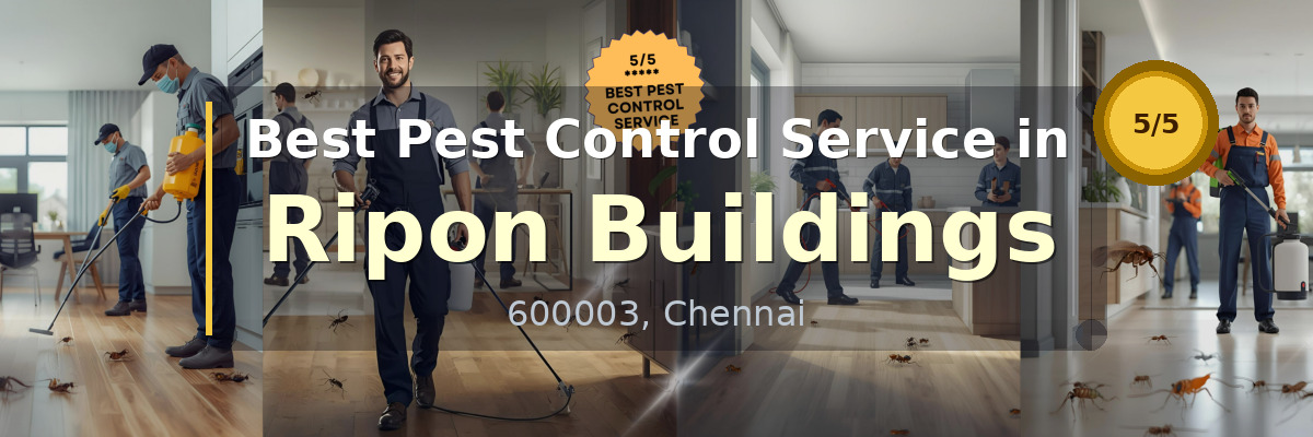 Pest Control Service in Ripon Buildings Chennai - Vijay Pest Control