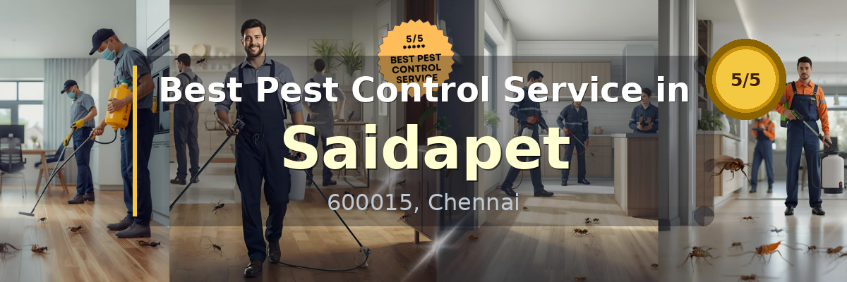 Pest Control Service in Saidapet Chennai - Vijay Pest Control