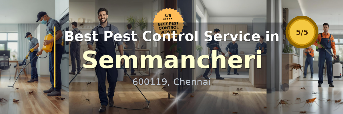 Pest Control Service in Semmancheri Chennai - Vijay Pest Control