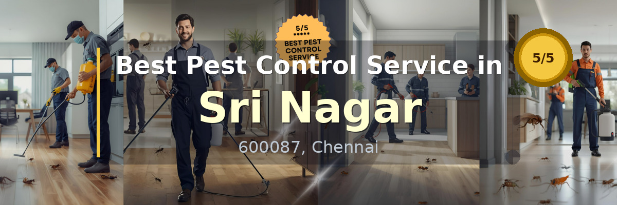 Pest Control Service in Sri Nagar Chennai - Vijay Pest Control