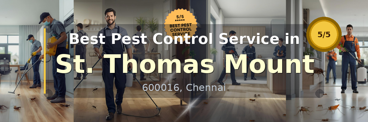 Pest Control Service in St. Thomas Mount Chennai - Vijay Pest Control