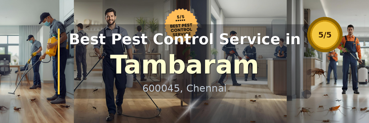 Pest Control Service in Tambaram Chennai - Vijay Pest Control